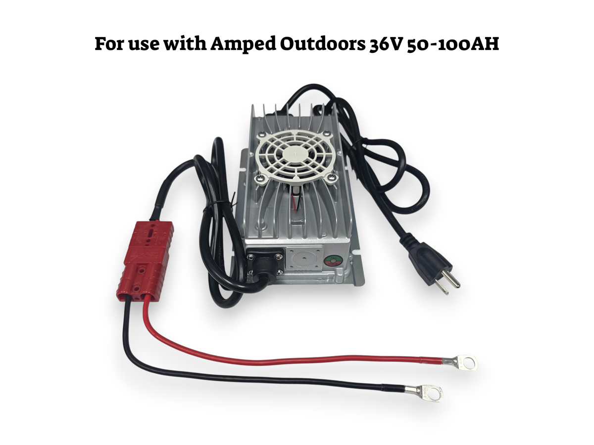 36V 10A LiFePO4 Charger