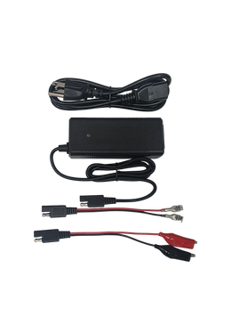 LiFePO4 Lithium Battery  3A Charger